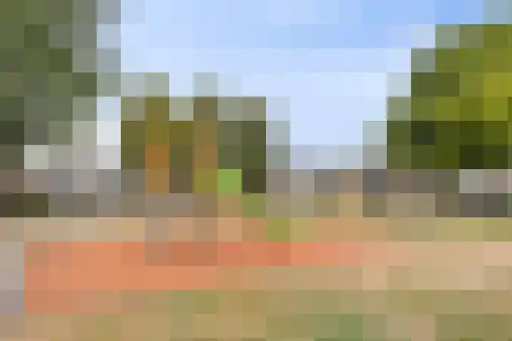 Ypelaar 20 Veghel thumbnail 39