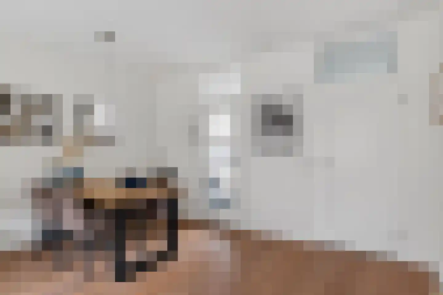 Ypelaar 79 Veghel thumbnail 34