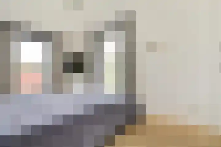 Ypelaerstraat 4 K Hilvarenbeek thumbnail 10