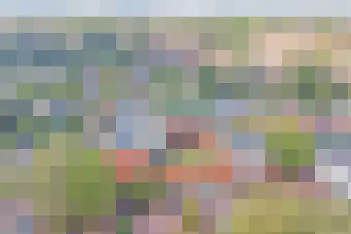 Ypelaerstraat 4 K Hilvarenbeek thumbnail 44