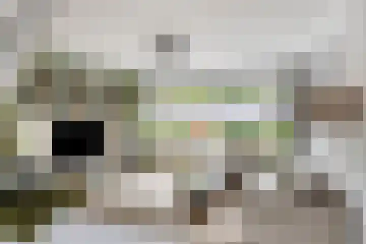 Ypelobrink 105 Enschede thumbnail 18