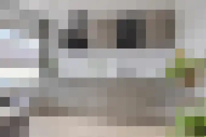 Ypelobrink 105 Enschede thumbnail 25