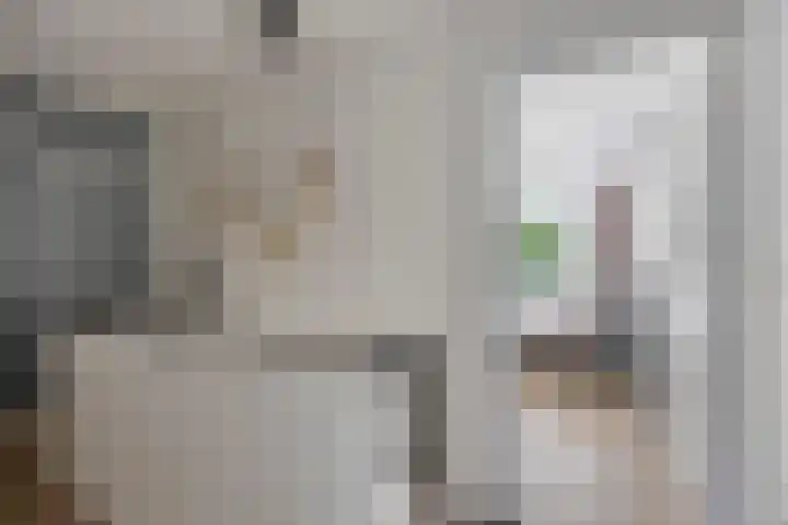 Ypelobrink 105 Enschede thumbnail 29
