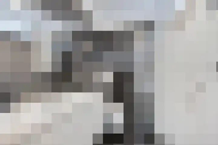 Ypelobrink 105 Enschede thumbnail 33