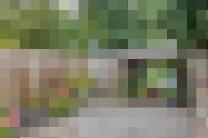 Ypelobrink 105 Enschede thumbnail 37