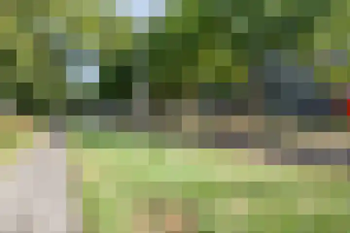 Ypelobrink 105 Enschede thumbnail 41