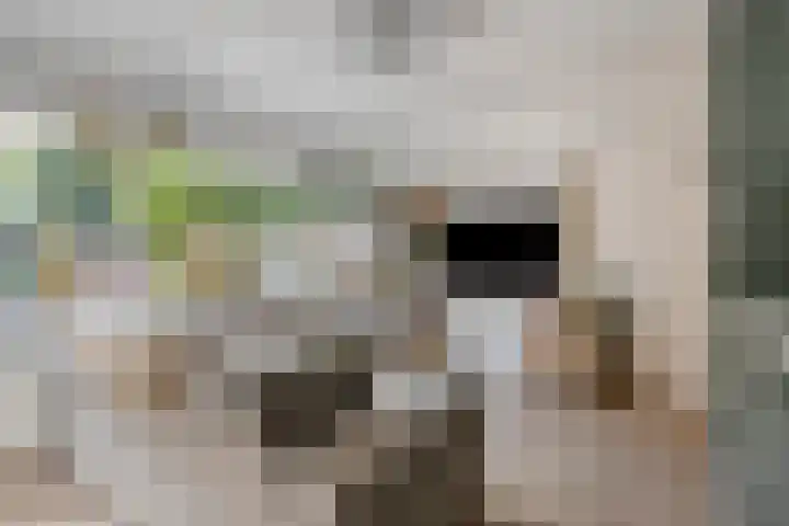 Ypelobrink 105 Enschede thumbnail 7