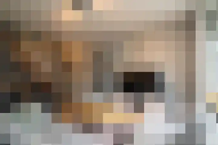 Ypelobrink 110 Enschede thumbnail 10