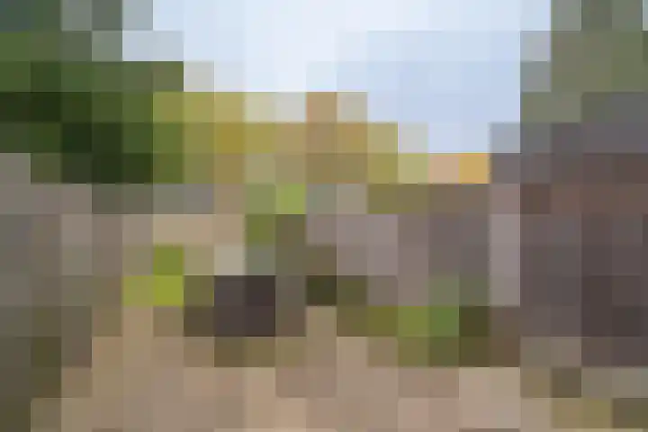 Ypelobrink 110 Enschede thumbnail 27