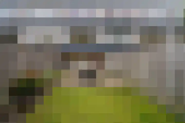 Ypelobrink 110 Enschede thumbnail 29