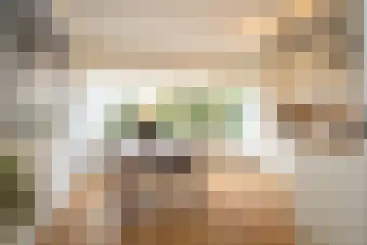 Ypelobrink 110 Enschede foto 3