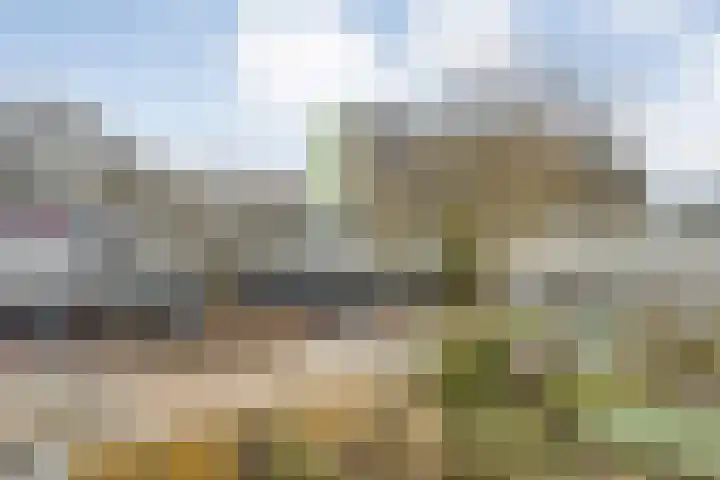 Ypelobrink 156 Enschede thumbnail 27