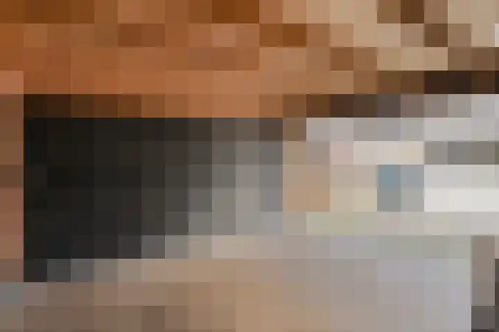 Ypelobrink 156 Enschede thumbnail 31