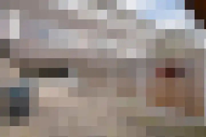Ypelobrink 156 Enschede thumbnail 33