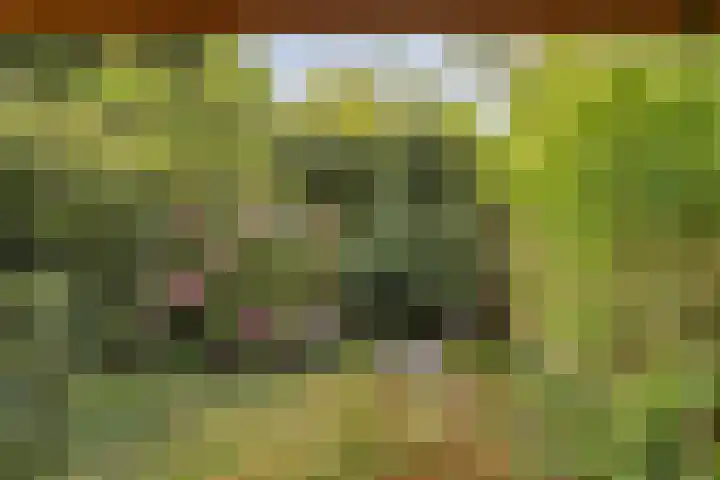 Ypelobrink 159 Enschede thumbnail 19