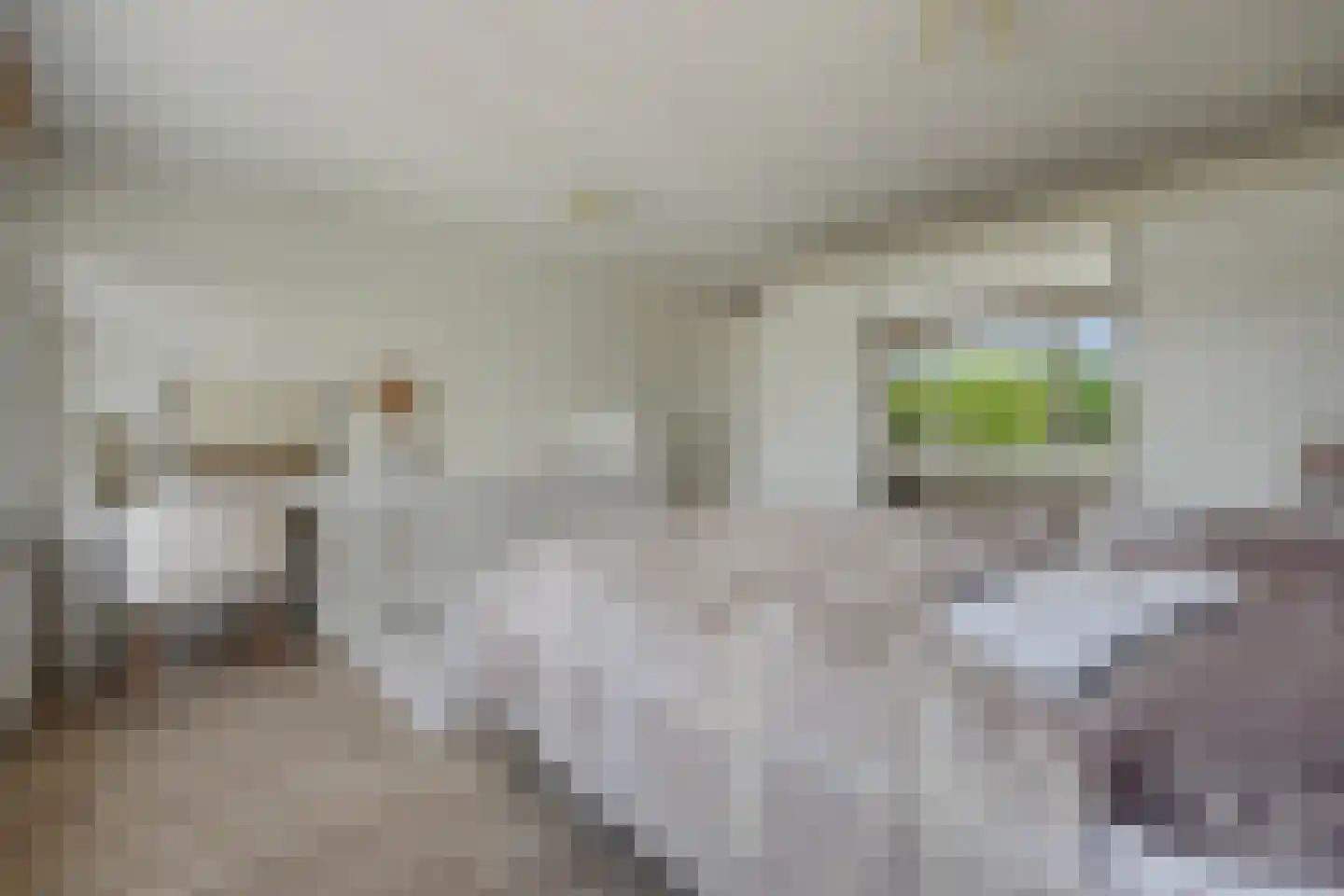 Ypelobrink 188 Enschede thumbnail 18