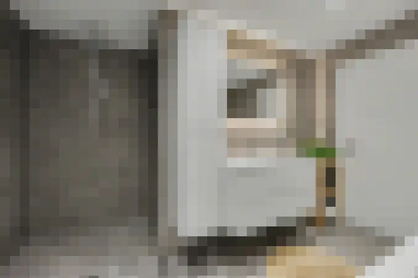 Ypelobrink 188 Enschede thumbnail 24