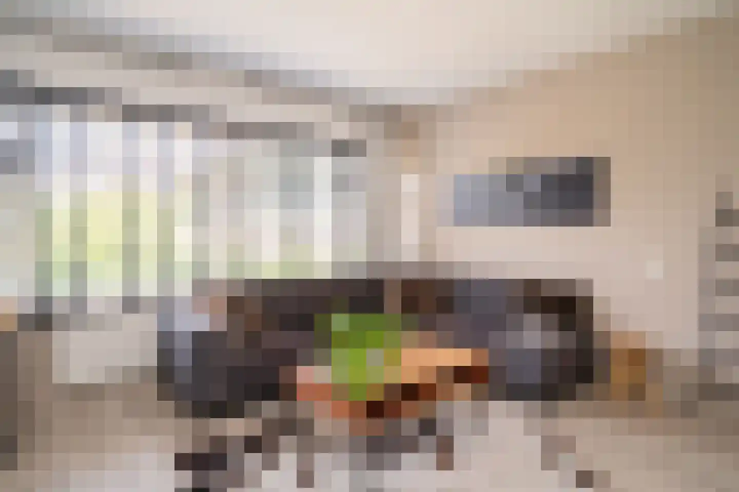 Ypelobrink 204 Enschede thumbnail 13