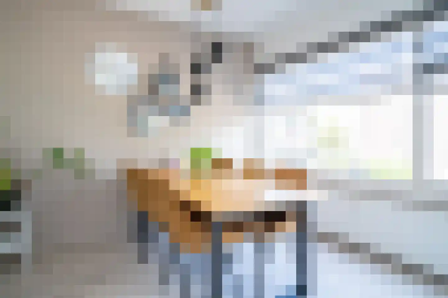 Ypelobrink 204 Enschede thumbnail 18