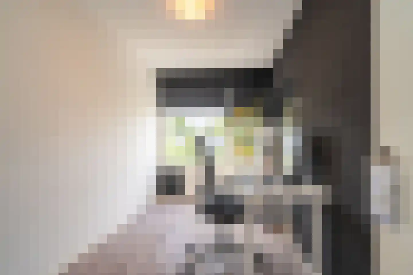 Ypelobrink 204 Enschede thumbnail 23