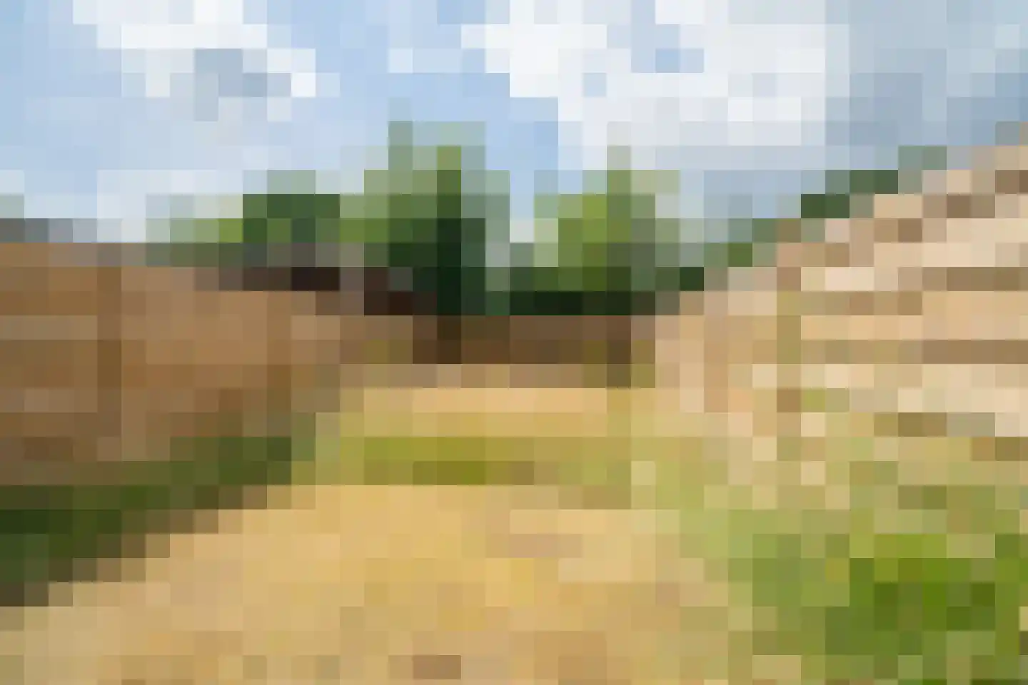 Ypelobrink 204 Enschede thumbnail 29