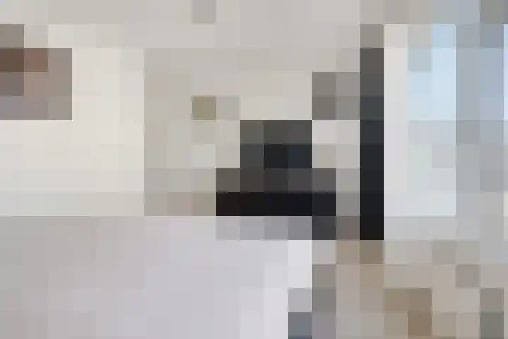 Ypelobrink 44 Enschede thumbnail 25