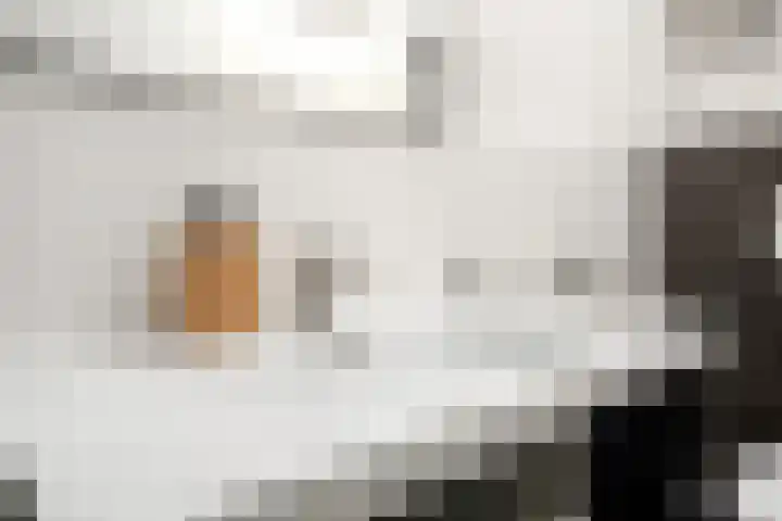 Ypelobrink 44 Enschede thumbnail 28