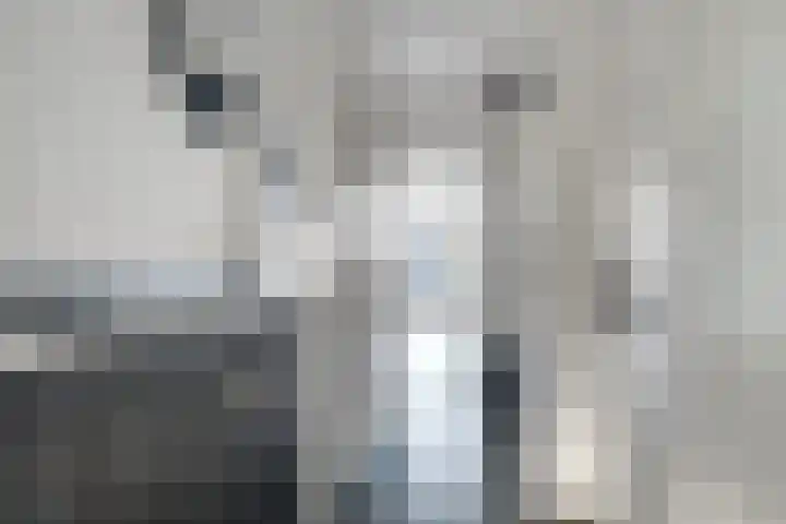 Ypelobrink 44 Enschede thumbnail 32
