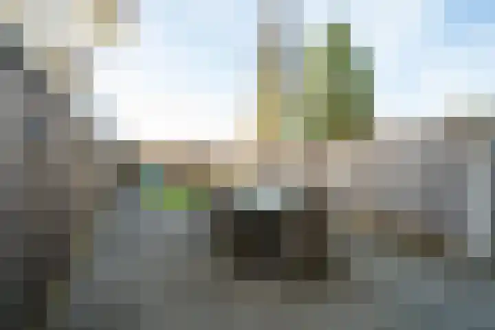 Ypelobrink 44 Enschede thumbnail 37