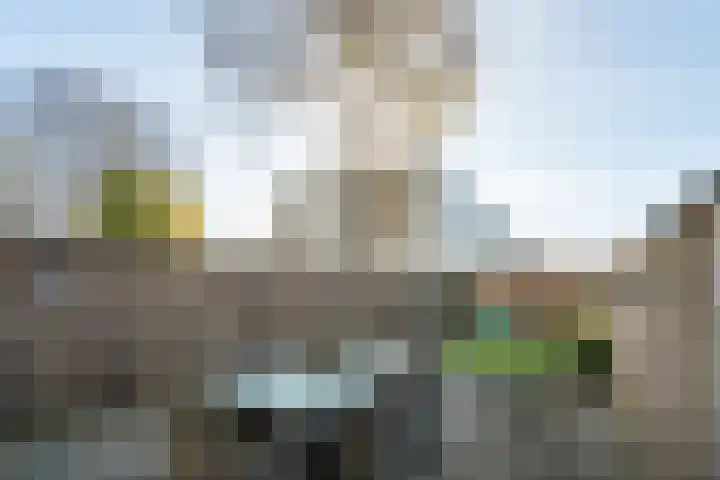 Ypelobrink 44 Enschede thumbnail 39