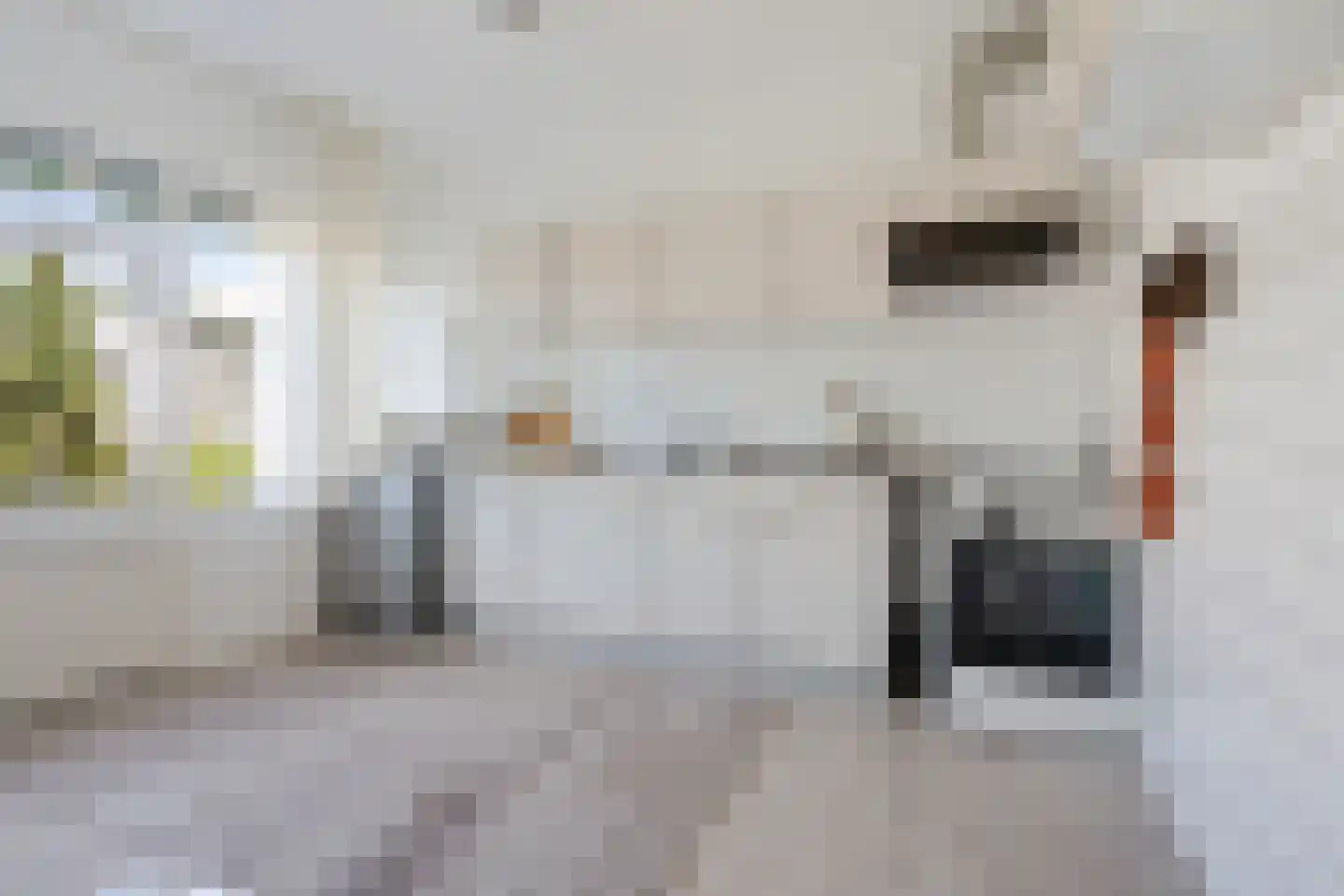 Ypelobrink 65 Enschede thumbnail 15