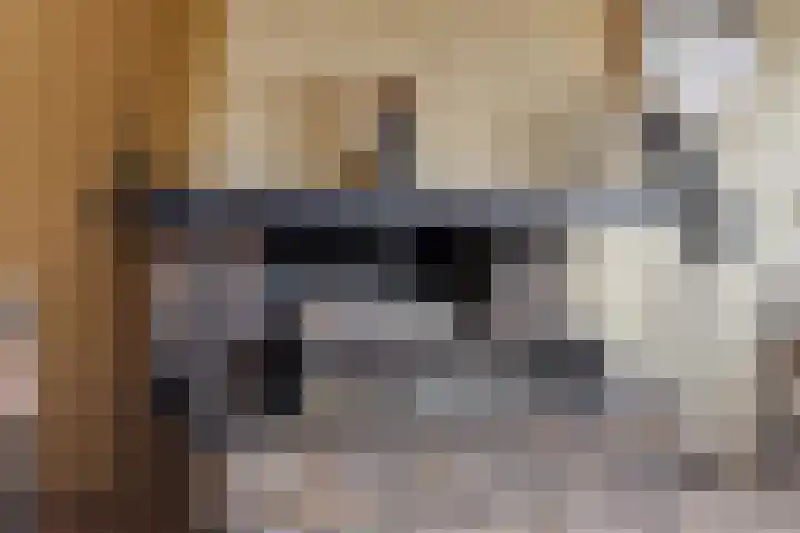 Ypelobrink 95 Enschede thumbnail 15