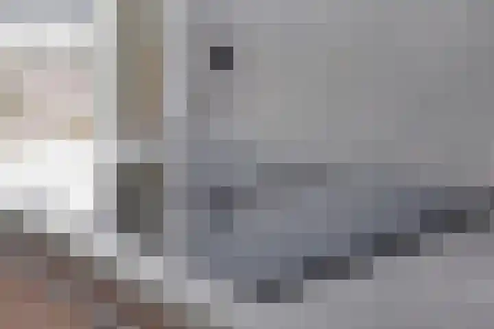 Ypelobrink 95 Enschede thumbnail 19