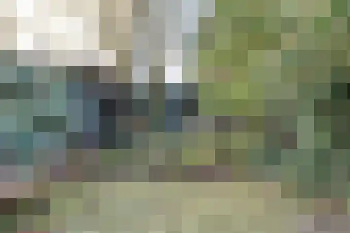 Ypelobrink 95 Enschede thumbnail 30