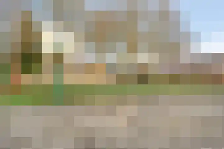 Ypelobrink 95 Enschede thumbnail 34