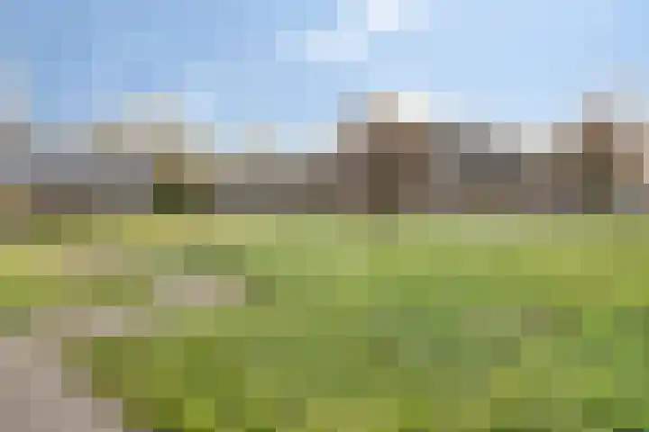 Ypelobrink 95 Enschede thumbnail 35