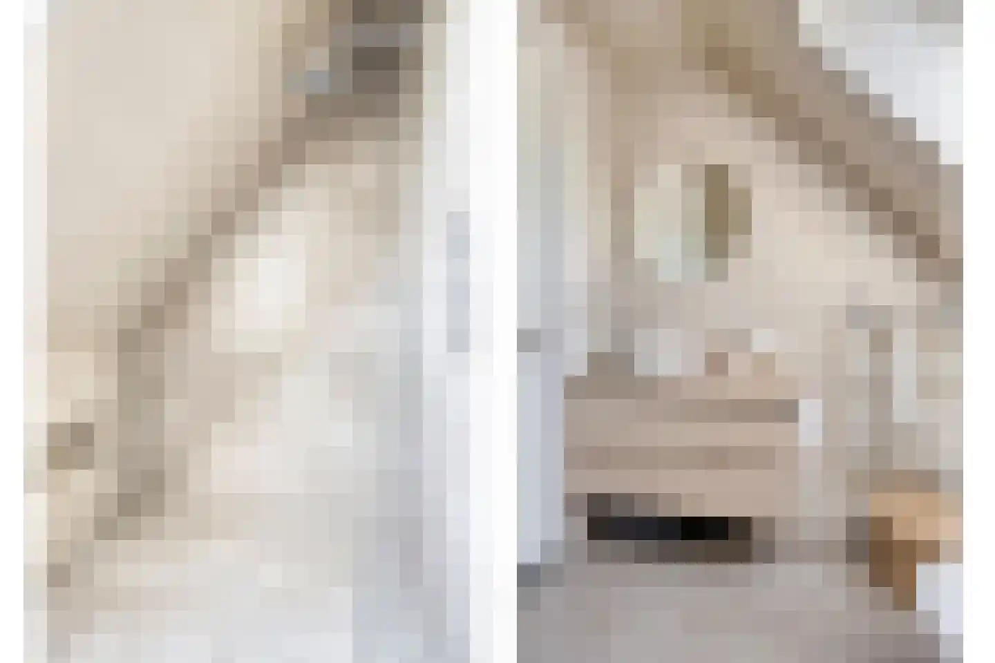 Ypelohof 7 Enter thumbnail 4