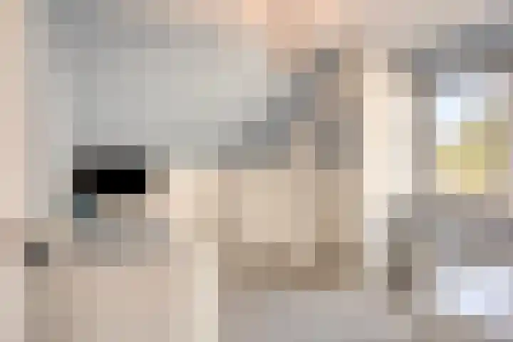 Ypeloweg 2 d Enter thumbnail 35