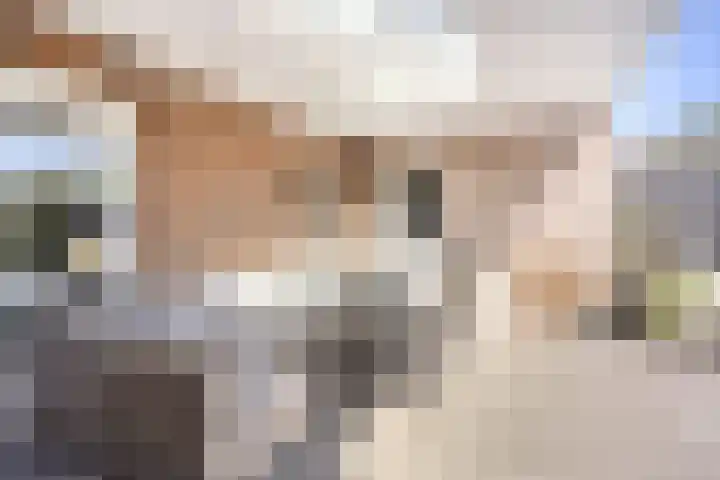 Ypeloweg 2 d Enter thumbnail 42