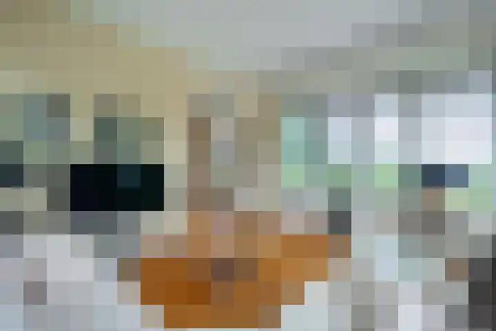Ypeloweg 2 m Enter thumbnail 25