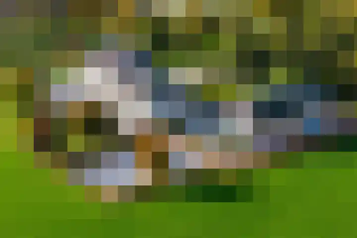 Ypeloweg 2 m Enter thumbnail 4