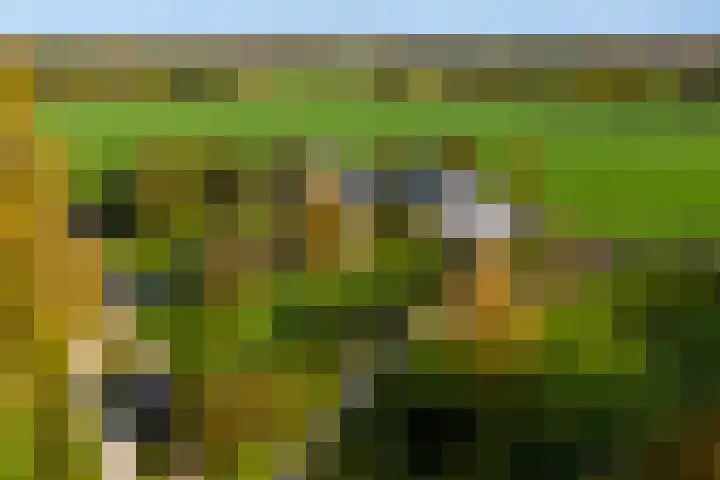 Ypeloweg 2 m Enter thumbnail 5