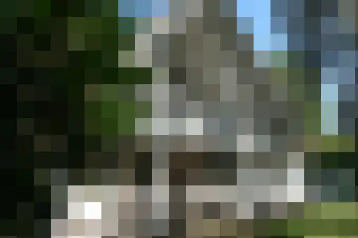 Ypeloweg 20 Wierden thumbnail 106