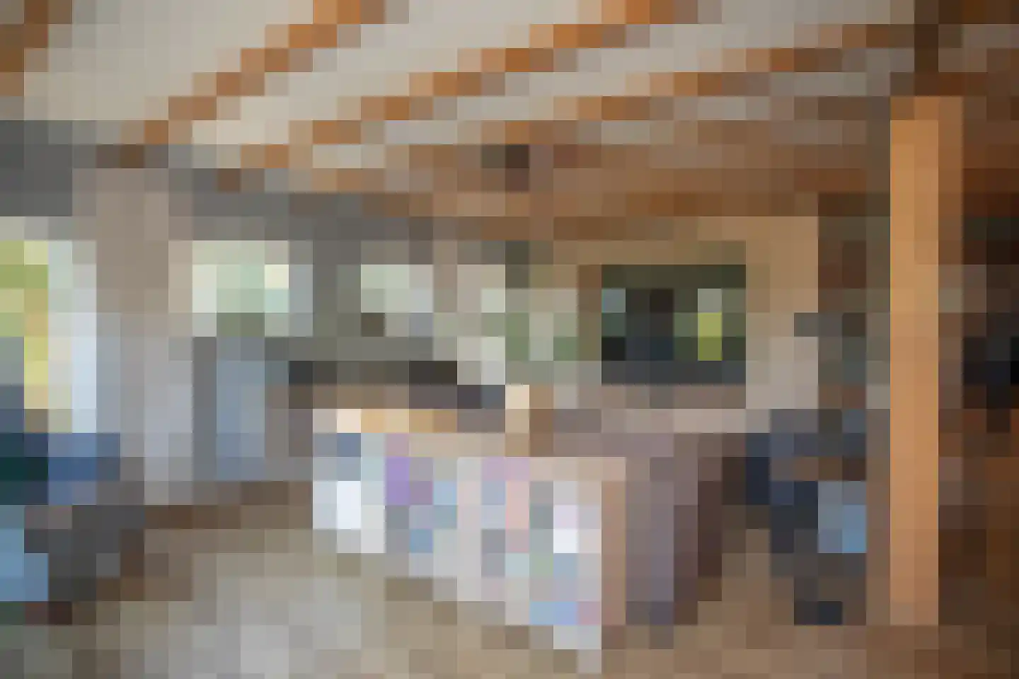 Ypeloweg 20 Wierden thumbnail 115