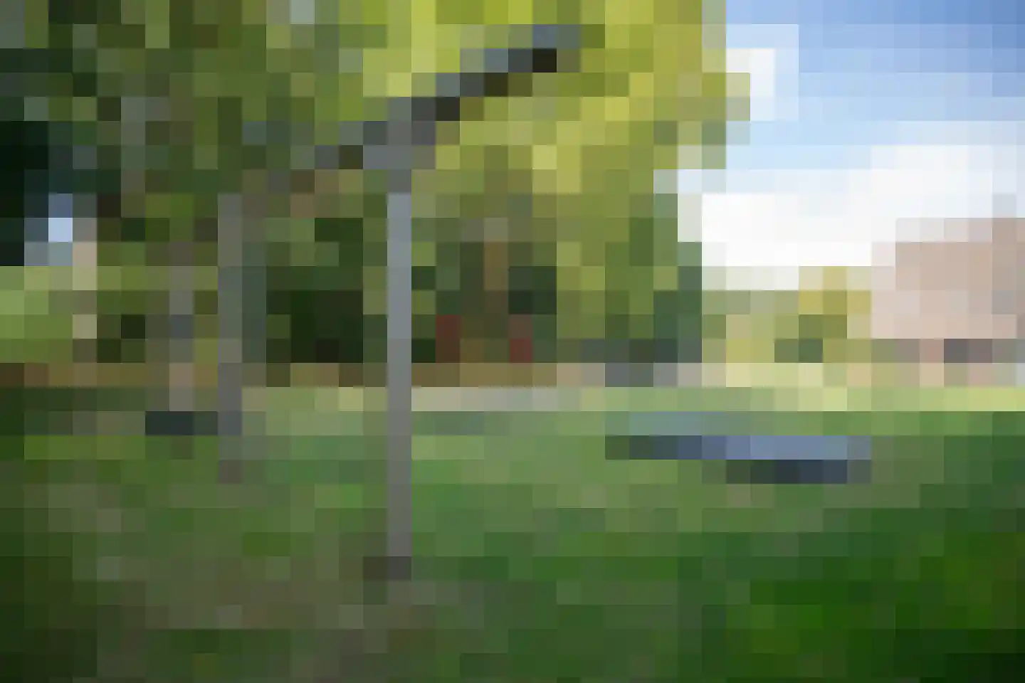 Ypeloweg 20 Wierden thumbnail 124