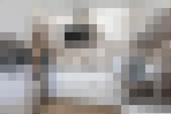 Ypeloweg 20 Wierden thumbnail 133