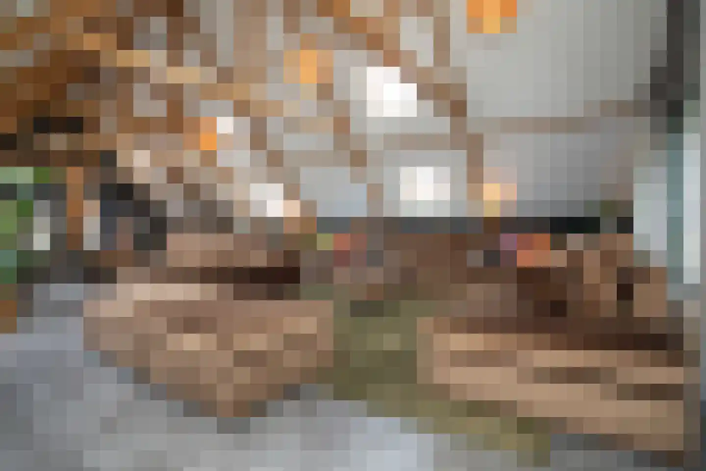 Ypeloweg 20 Wierden thumbnail 19