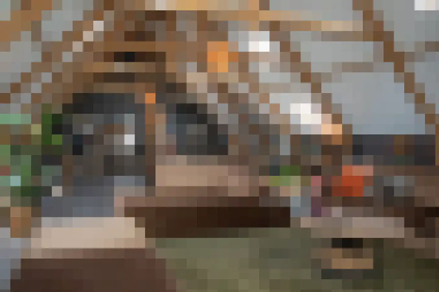 Ypeloweg 20 Wierden thumbnail 20