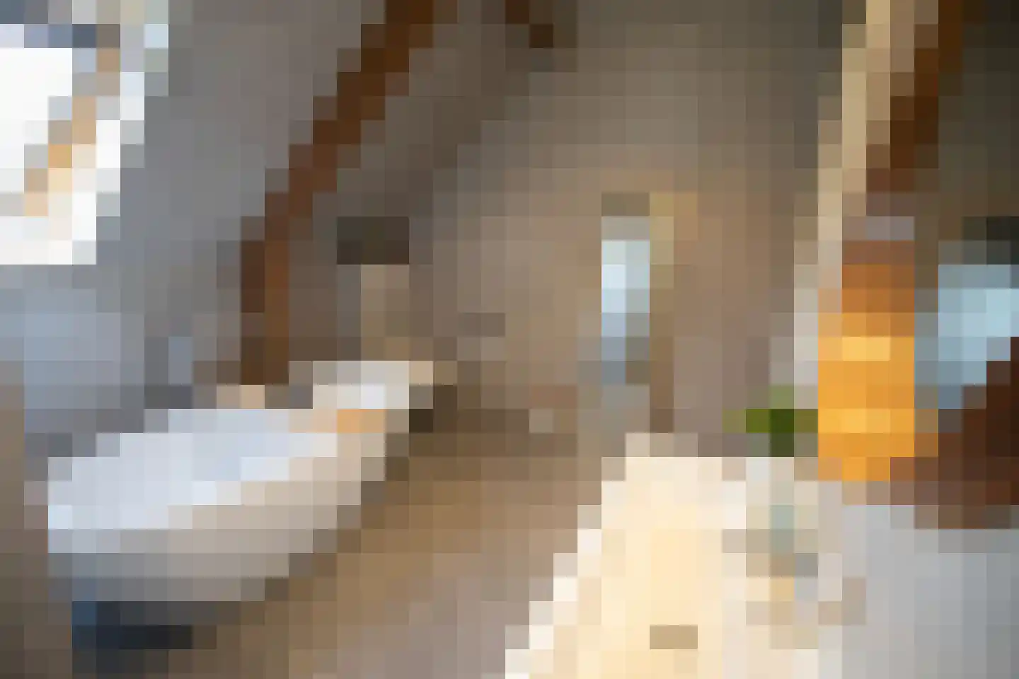 Ypeloweg 20 Wierden thumbnail 30