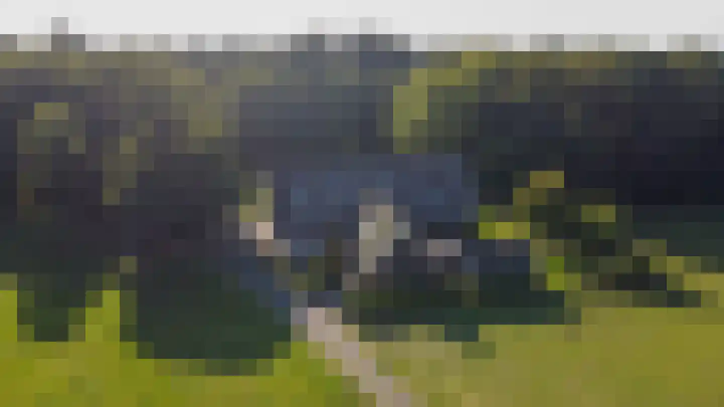 Ypeloweg 20 Wierden thumbnail 4